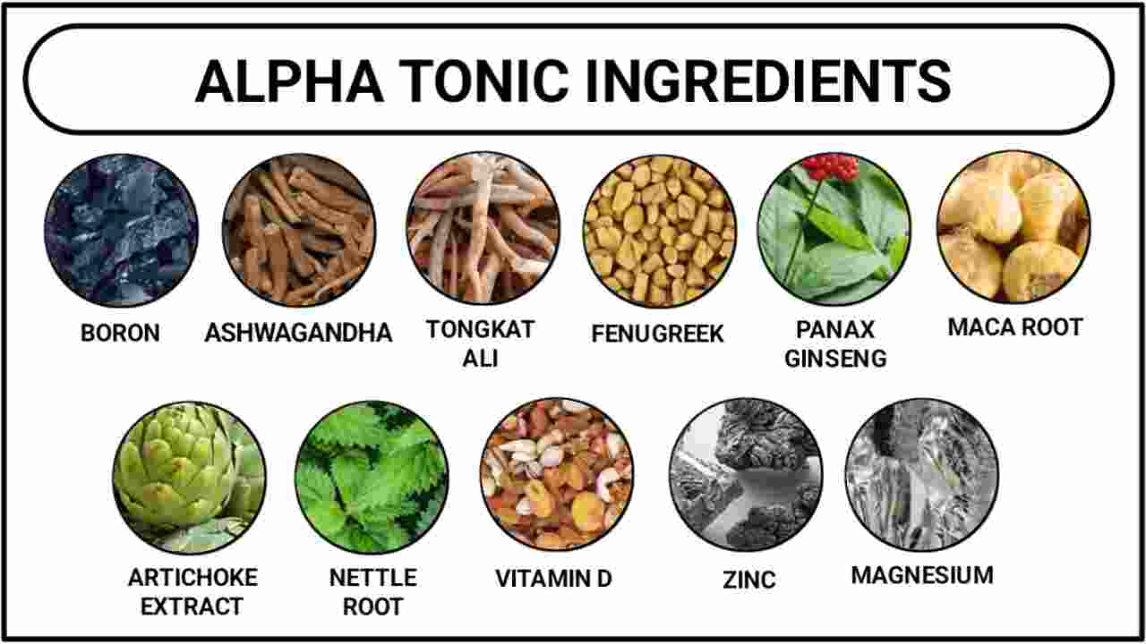 Alpha Tonic Ingredients