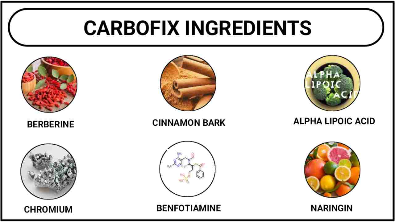 CarboFix Ingredients