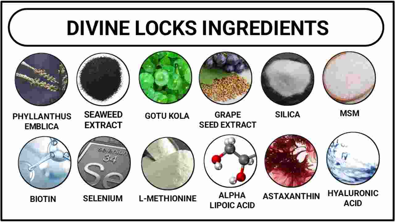 Divine Locks Ingredients