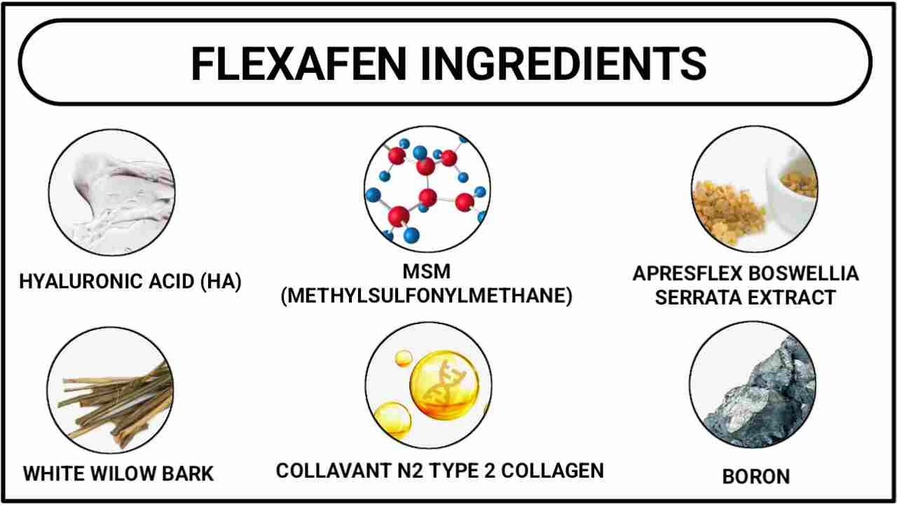 FlexaFen Ingredients