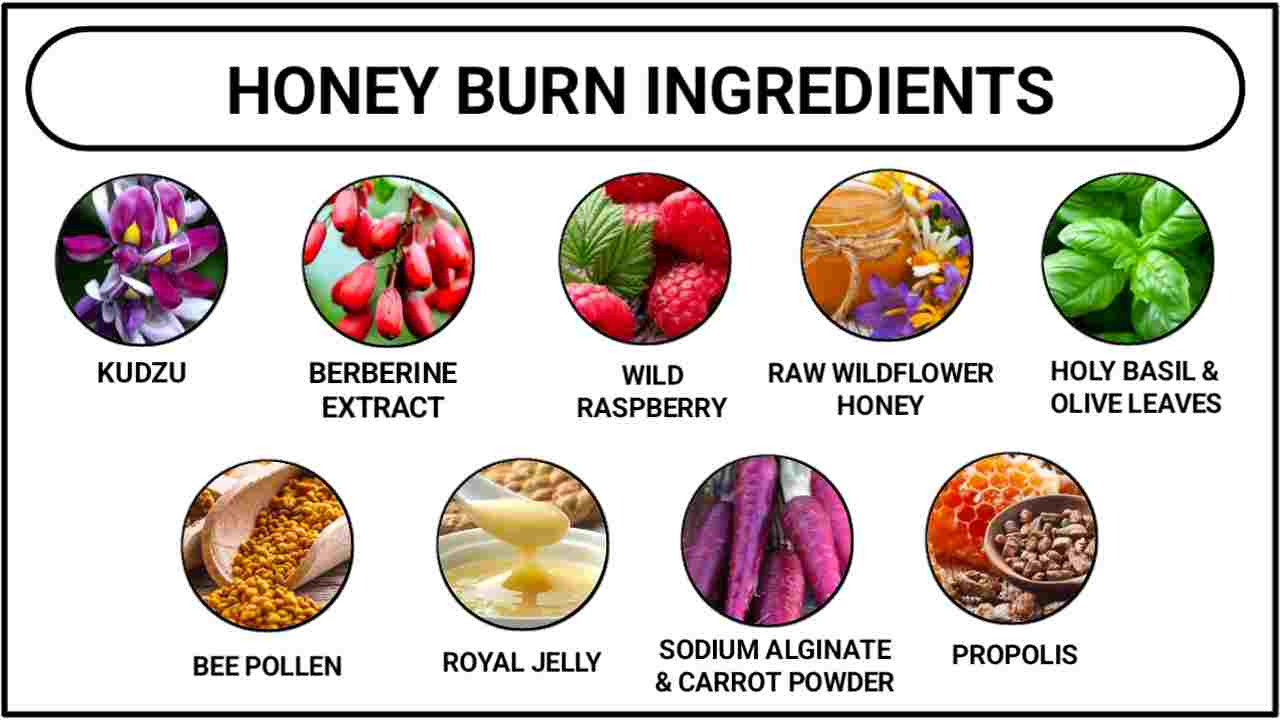 HoneyBurn Ingredients