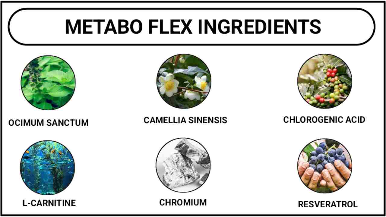 Metabo Flex Ingredients