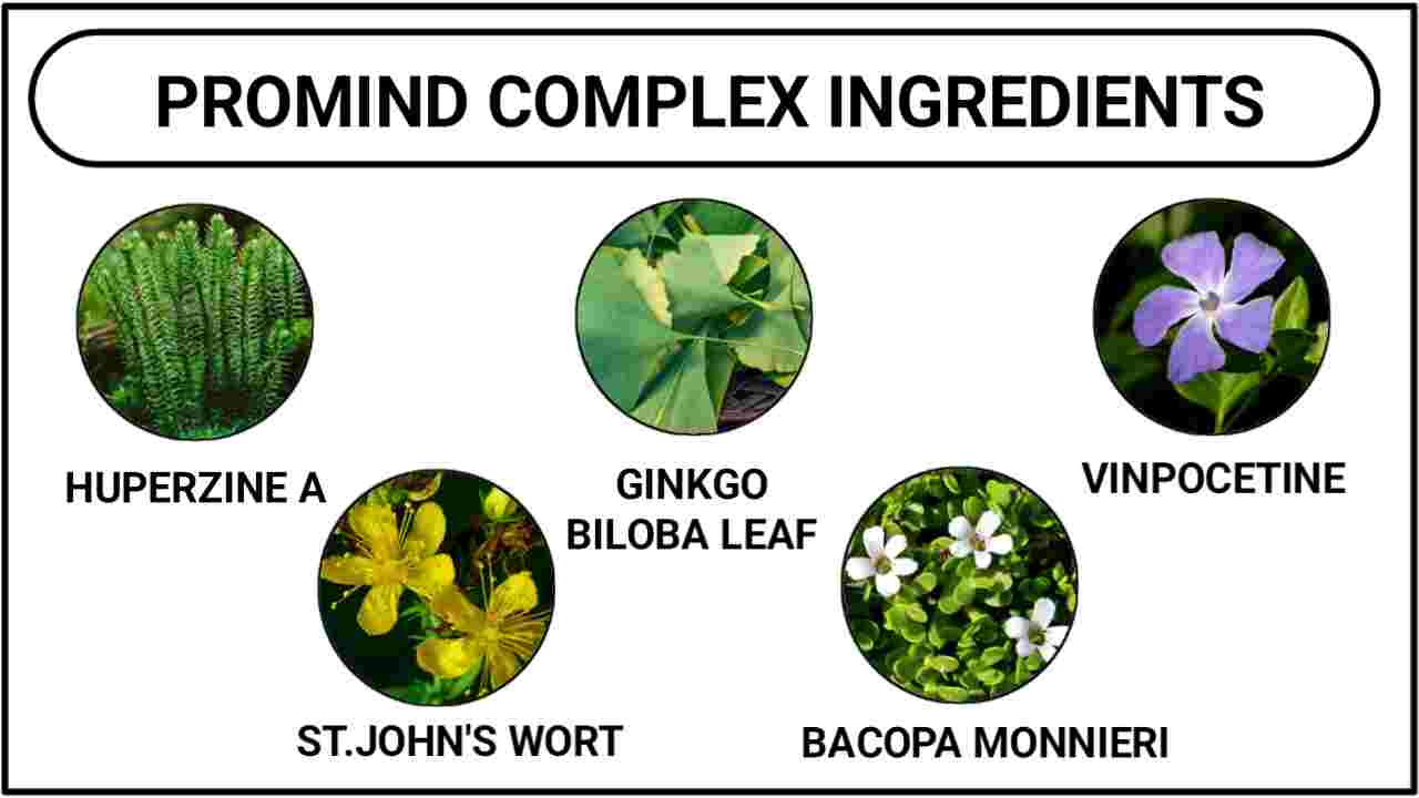 ProMind Complex Ingredients