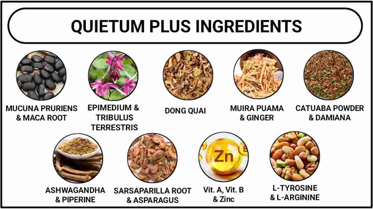 Quietum Plus Ingredients