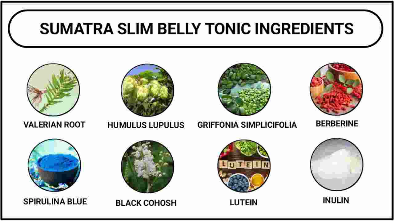 Sumatra Slim Belly Tonic Ingredients