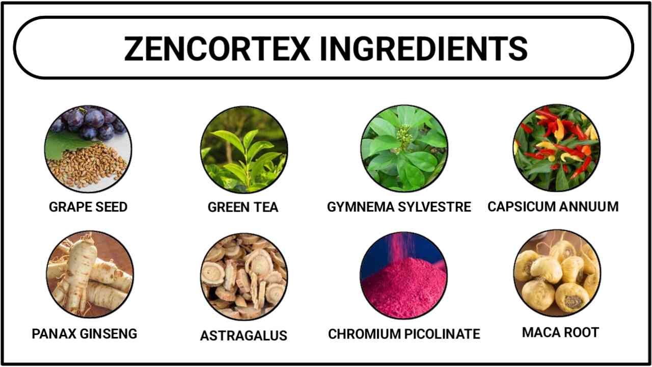 ZenCortex Ingredients