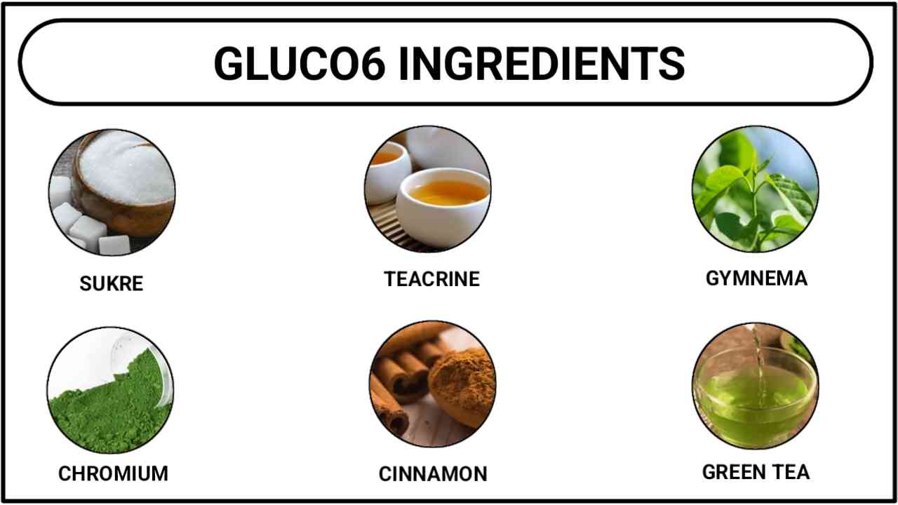 gluco6 ingredients