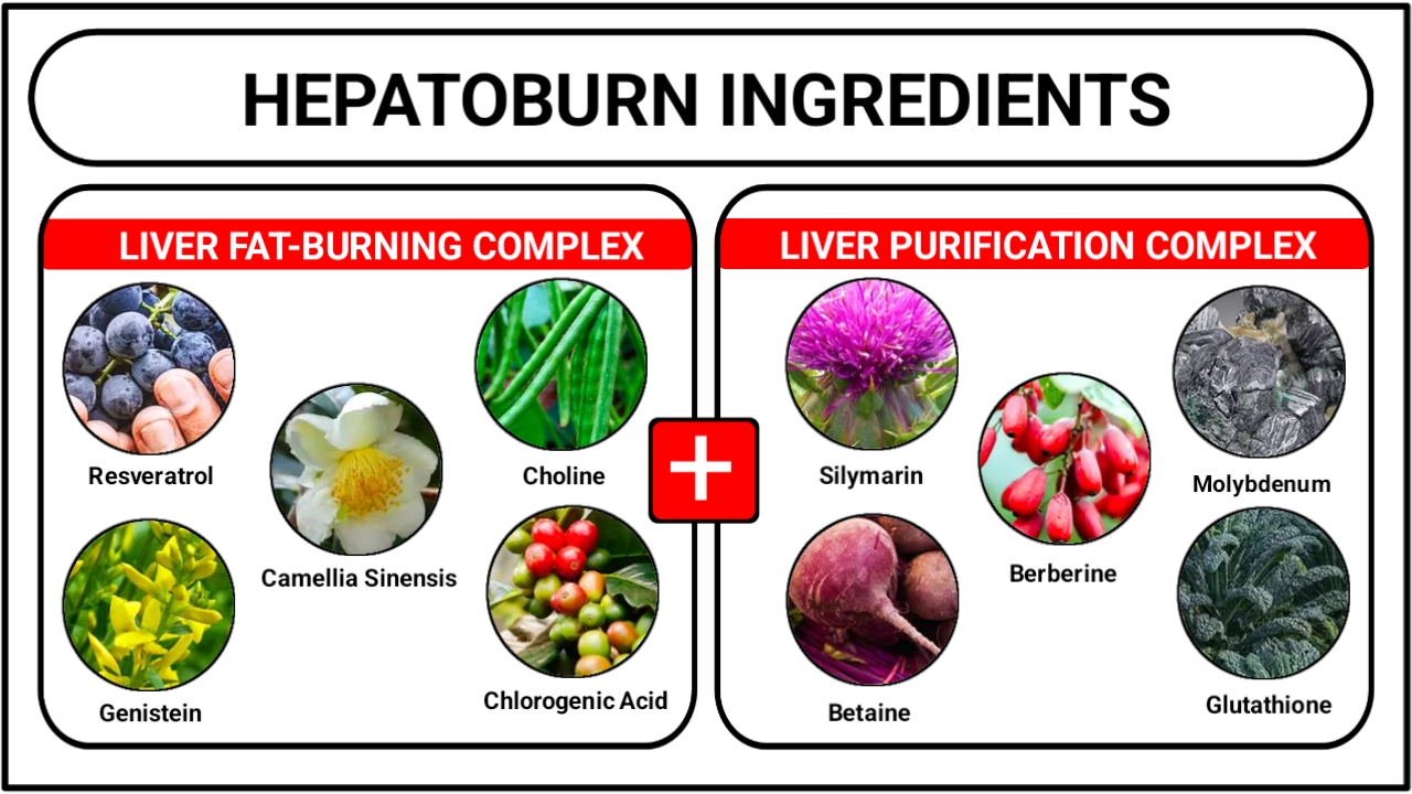hepatoburn ingredients