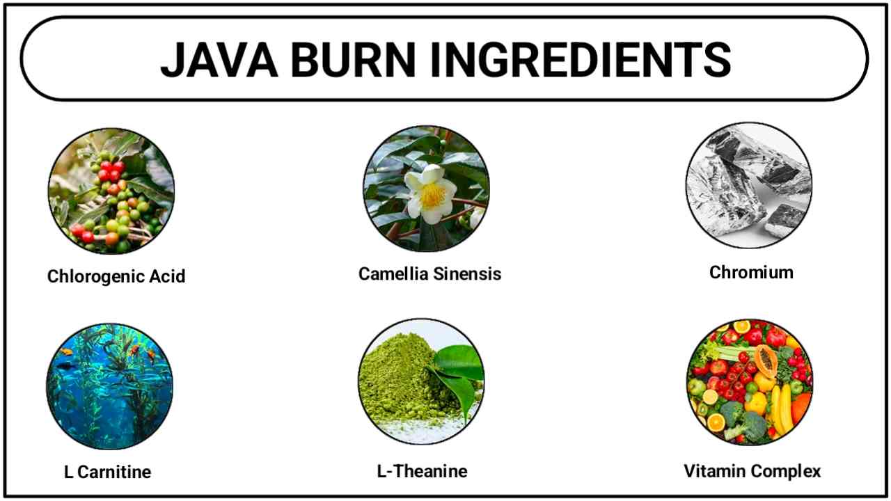 java burn ingredients