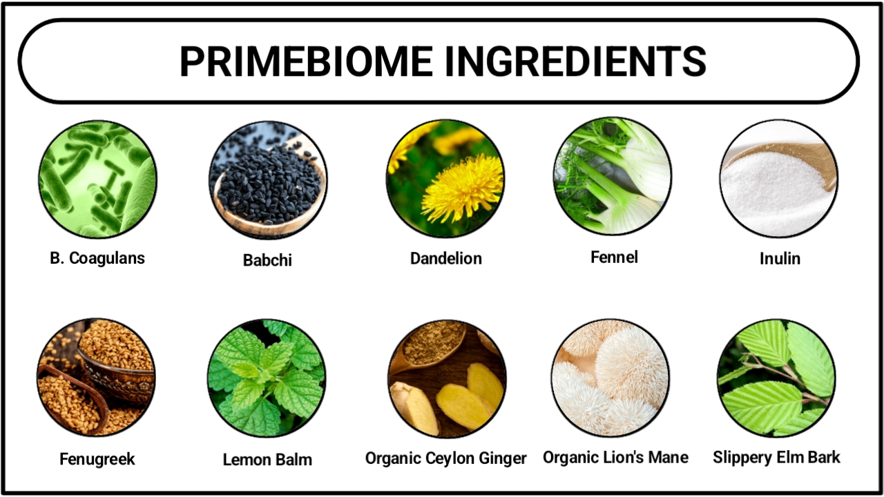 primebiome ingredients
